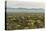 USA, Arizona, Saguaro National Park. Desert Landscape-Cathy & Gordon Illg-Premier Image Canvas