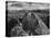 USA, Arizona, Saguaro National Park. Petroglyphs on Signal Hill-Dennis Flaherty-Premier Image Canvas