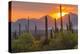 USA, Arizona, Saguaro National Park. Sunset on Desert Landscape-Cathy & Gordon Illg-Premier Image Canvas