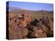 USA, Arizona, Saguaro National Park, Tucson Mountain District-John Barger-Premier Image Canvas