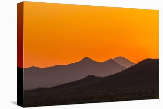 USA, Arizona, Saguaro National Park. Tucson Mountains at Sunset-Cathy & Gordon Illg-Premier Image Canvas