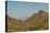 USA, Arizona, Saguaro National Park. Valley in Desert Landscape-Cathy & Gordon Illg-Premier Image Canvas