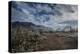 USA, Arizona, Tucson, Tucson Mountain Park-Peter Hawkins-Premier Image Canvas