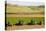 USA, California. Agricultural fields outside King City-Alison Jones-Premier Image Canvas