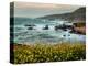 USA, California, Big Sur. Dusk and mustard plants at Soberanes Cove-Ann Collins-Premier Image Canvas