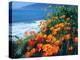 USA, California, California Poppies Along the Pacific Coast-Jaynes Gallery-Premier Image Canvas