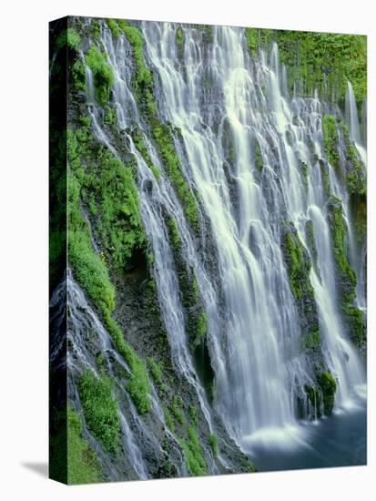 USA, California, Cascade Range, Mcarthur-Burney Falls Memorial State Park-John Barger-Premier Image Canvas