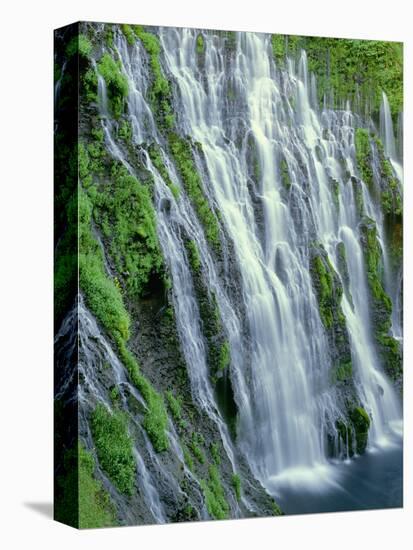 USA, California, Cascade Range, Mcarthur-Burney Falls Memorial State Park-John Barger-Premier Image Canvas