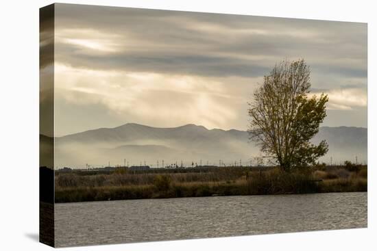 USA, California, Central Valley. San Joaquin River near Firebaugh.-Alison Jones-Premier Image Canvas