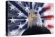 USA, California. Composite of bald eagle and American flag.-Jaynes Gallery-Premier Image Canvas