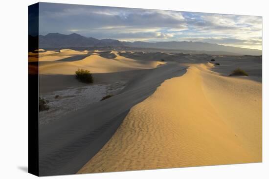 USA, California, Death Valley, Mesquite Flat Sand Dunes at sunrise.-Kevin Oke-Premier Image Canvas