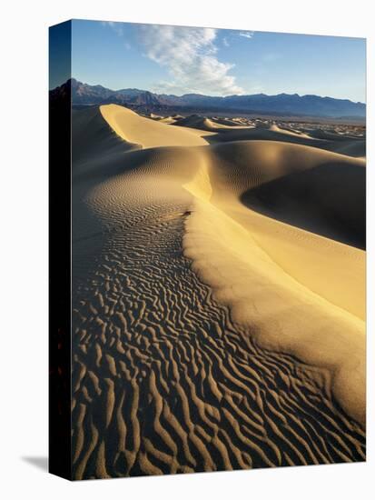 USA, California, Death Valley National Park. Early Morning Sun Hits Mesquite Flat Dunes-Ann Collins-Premier Image Canvas
