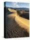 USA, California, Death Valley National Park. Early Morning Sun Hits Mesquite Flat Dunes-Ann Collins-Premier Image Canvas