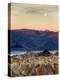 USA, California, Death Valley National Park. Moonset at Sunrise from Zabriskie Point-Ann Collins-Premier Image Canvas