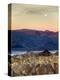 USA, California, Death Valley National Park. Moonset at Sunrise from Zabriskie Point-Ann Collins-Premier Image Canvas