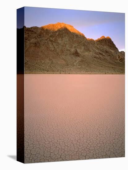 USA, California, Death Valley National Park-John Barger-Premier Image Canvas