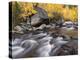 USA, California, Eastern Sierra. Aspens Along North Fork of Bishop Creek-Ann Collins-Premier Image Canvas