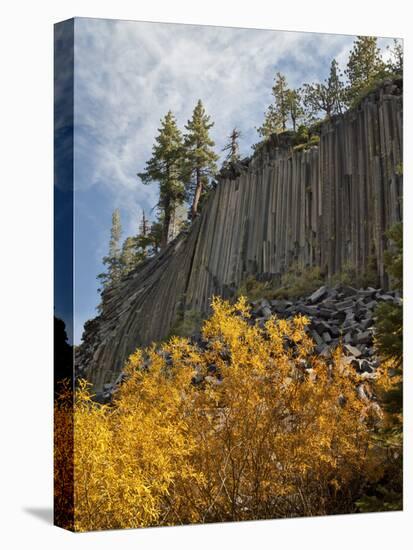 USA, California, Eastern Sierra, Devils Postpile National Monument in Autumn-Ann Collins-Premier Image Canvas