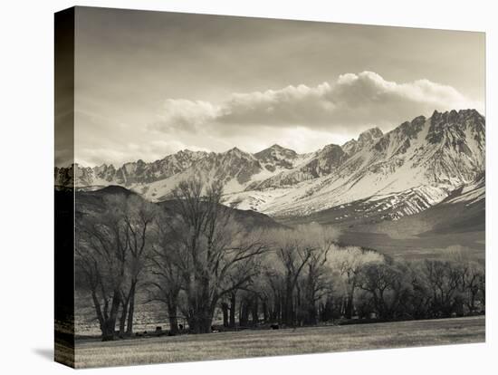 USA, California, Eastern Sierra Nevada Area, Bishop, Landscape of the Pleasant Valey-Walter Bibikow-Premier Image Canvas