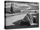 USA, California, Garrapata Beach-John Ford-Premier Image Canvas