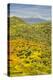 USA, California, Hemet. Visitors hike the Wildflower Trail at Diamond Valley Lake-Ann Collins-Premier Image Canvas