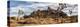 USA, California, Joshua Tree National Park, Panoramic View of Joshua Trees in the Mojave Desert-Ann Collins-Premier Image Canvas