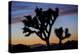 Usa, California, Joshua Tree National Park. Silhouettes of Joshua trees at sunset.-Merrill Images-Premier Image Canvas