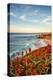 USA, California, La Jolla. Blooming aloe and Wipeout Beach-Ann Collins-Premier Image Canvas