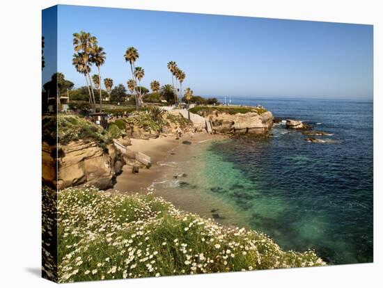 USA, California, La Jolla, Clear Water on a Spring Day at La Jolla Cove-Ann Collins-Premier Image Canvas