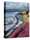 USA, California, La Jolla, Flowers Along the Pacific Coast-Christopher Talbot Frank-Premier Image Canvas