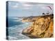 USA, California, La Jolla. Paragliders soar over Black's Beach-Ann Collins-Premier Image Canvas