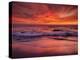 USA, California, La Jolla, Sunset at North End of Windansea Beach-Ann Collins-Premier Image Canvas