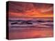 USA, California, La Jolla. Sunset at North End of Windansea Beach-Ann Collins-Premier Image Canvas