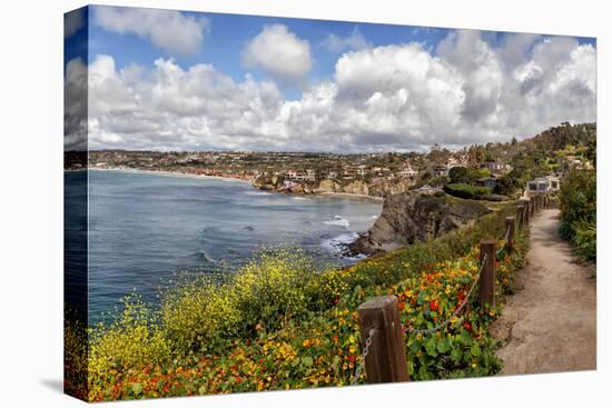 USA, California, La Jolla, View from Coast Walk-Ann Collins-Premier Image Canvas