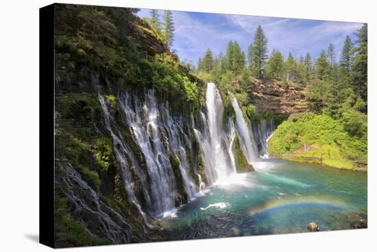 USA, California, McArthur-Burney Falls Memorial State Park. Burney Falls along Burney Creek-Christopher Reed-Premier Image Canvas