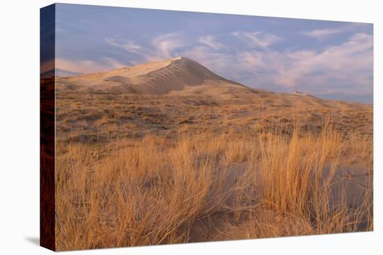 USA, California, Mohave National Preserve. Grasses and Sand Dunes-Don Paulson-Premier Image Canvas