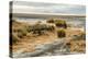 USA, California. Mojave Desert, Mojave National Preserve, Zzyzx, Mojave Soda lake.-Alison Jones-Premier Image Canvas