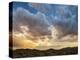 USA, California, Mojave National Preserve. Desert Rain Squall at Sunset-Ann Collins-Premier Image Canvas