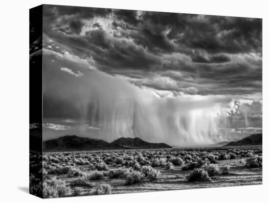 USA, California, Mojave National Preserve, Desert Rain Squall at Sunset-Ann Collins-Premier Image Canvas