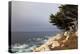 USA, California, Monterey. 17-Mile Drive Coast Near Ghost Tree-Kymri Wilt-Premier Image Canvas