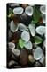 USA, California. Natural sea glass on beach.-Jaynes Gallery-Premier Image Canvas