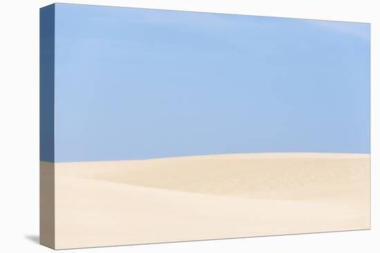 USA, California, Oceano Dunes Svra, Oso Flaco State Park-Trish Drury-Premier Image Canvas