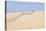 USA, California, Oso Flaco State Park, Part of Oceano Dunes Svra-Trish Drury-Premier Image Canvas