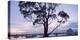 USA, California, Panoramic View of Eucalyptus Tree and Morro Rock at Sunset-Ann Collins-Premier Image Canvas