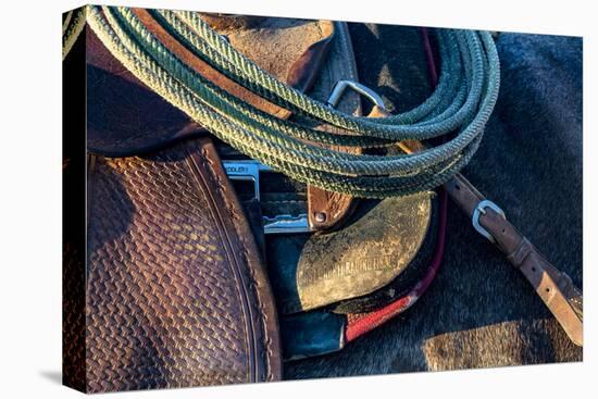 USA, California, Parkfield, V6 Ranch detail of a saddle and lasso-Ellen Clark-Premier Image Canvas