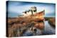 Usa, California. Rotting fishing boat near Point Reyes.-Betty Sederquist-Premier Image Canvas