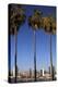 USA, California, San Diego. San Diego Skyline and Palm Trees-Kymri Wilt-Premier Image Canvas