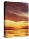 USA, California, San Diego, Sunset over the Pacific Ocean-Christopher Talbot Frank-Premier Image Canvas