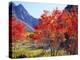 USA, California, Sierra Nevada. Autumn Red Aspen Trees-Jaynes Gallery-Premier Image Canvas