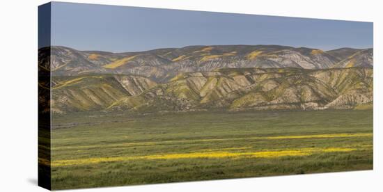 USA, California. Yellow wildflowers color plain and mountains.-Jaynes Gallery-Premier Image Canvas